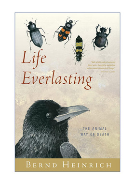 英文原版 Life Everlasting 生命的涅槃 动物的死亡之道 佛蒙特大学生物系教授 Bernd Heinrich 英文版 进口英语原版书籍