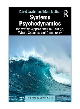 英文原版 Systems Psychodynamics 系统心理动力学 变革 整体系统和复杂性方面的创新方法 英文版 进口英语原版书籍