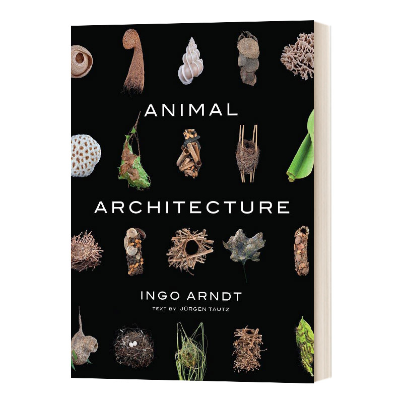 动物建筑进口艺术自然摄影