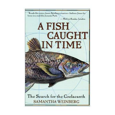英文原版 A Fish Caught in Time 寻找我们的鱼类祖先 四亿年前的演化之谜 英文版 进口英语原版书籍