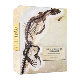 Lance Lost Fossil 英文原版 化石湖 精装 Grande 古生物学指南 World 远古时期快照 失落世界 书籍 进口英语原版 Lake The