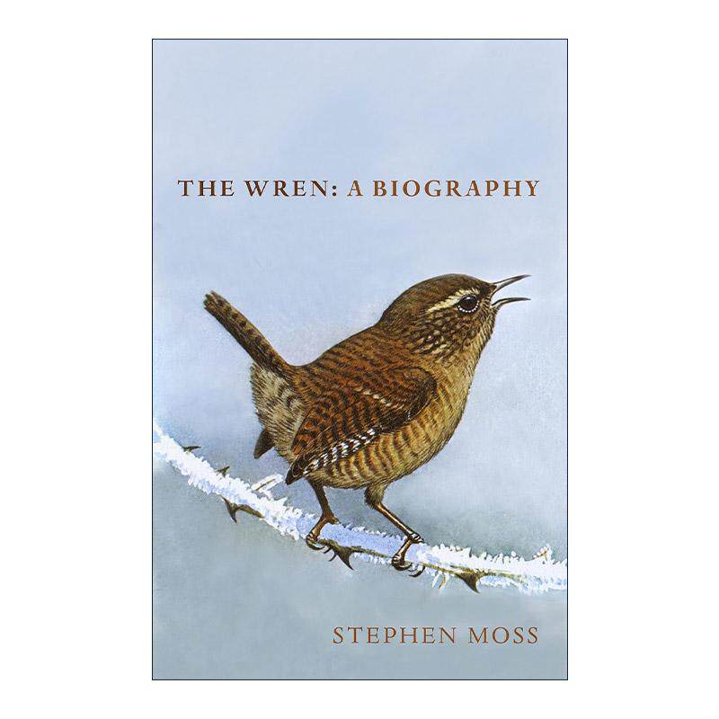 英文原版 The Wren A Biography 鹪鹩传 自然传奇与文化印记 Stephen Moss 精装 英文版 进口英语原版书籍