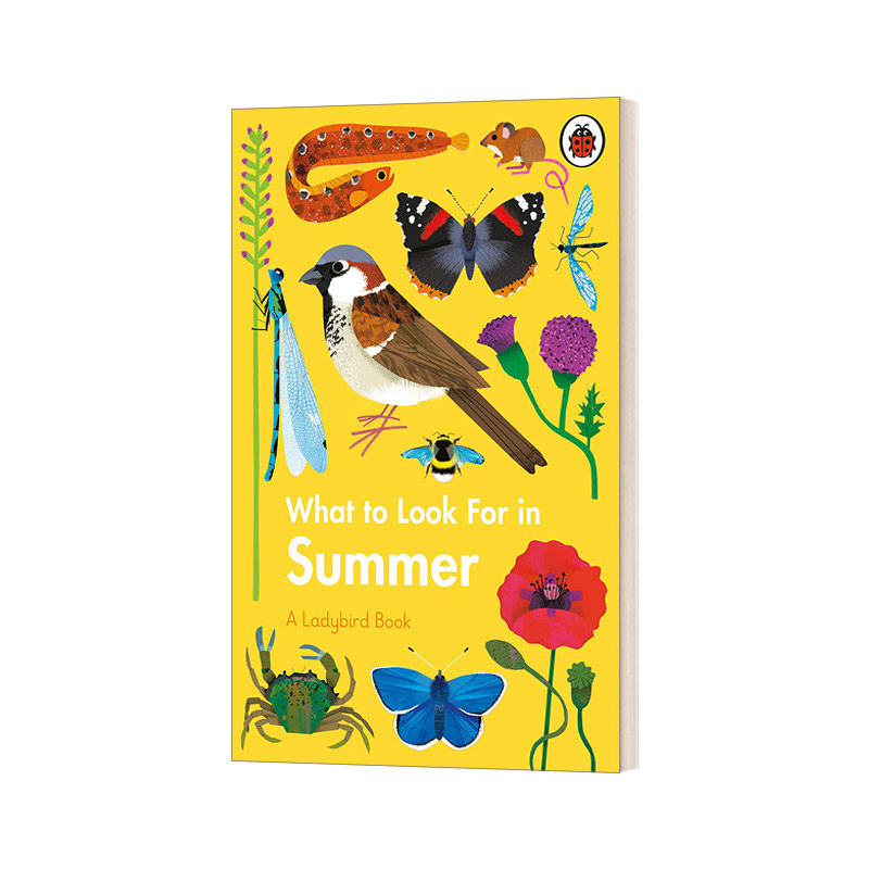 英文原版进口 寻找夏天what to look for in summer 青少年中小学生