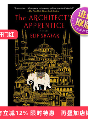 英文原版 The Architect's Apprentice 建筑师的学徒 历史小说 Elif Shafak 英文版 进口英语原版书籍