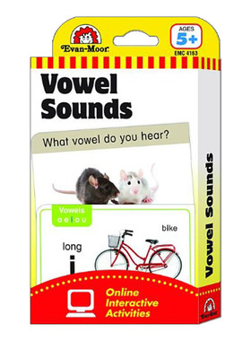 英文原版 The Learning Line Flashcard Vowel Sounds 闪记学习卡 元音 3岁以上 英文版 进口英语原版书籍儿童图书