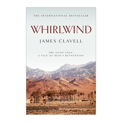 英文原版 Whirlwind 漩涡 亚洲小说系列6 英文版 进口英语原版书籍
