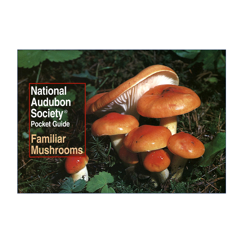 英文原版 National Audubon Society Pocket Guide Familiar Mushrooms全美奥杜邦协会袖珍指南熟悉的蘑菇英文版进口书籍