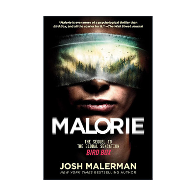 英文原版 Malorie 玛洛里 Bird Box鸟盒续集 Josh Malerman乔什·玛勒曼英文版 进口英语原版书籍