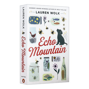 英文版 书籍 回音山 纽伯瑞奖得主Lauren Wolk劳伦·沃克 呼唤 Mountain 远山 进口英语原版 英文原版 精装 Echo