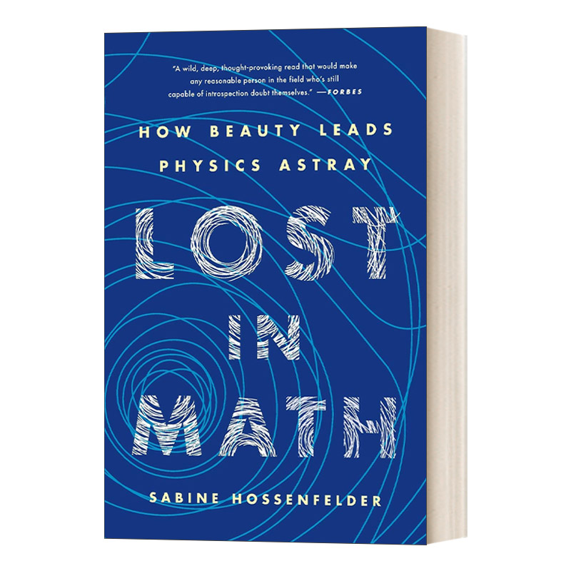 英文原版 Lost in Math 迷失在数学中 美如何将物理学引入歧途 英文版 进口英语原版书籍