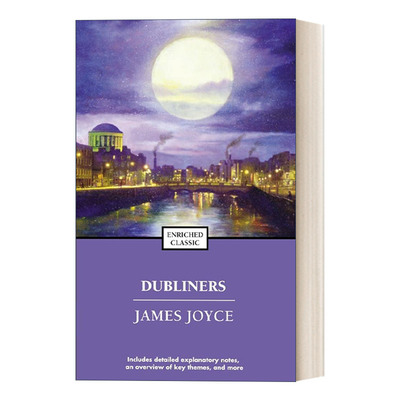 英文进口原版都柏林人