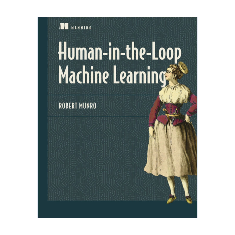 英文原版 Human-in-the-Loop Machine Learning 机器学习 人机协同 人工智能 英文版 进口英语原版书籍