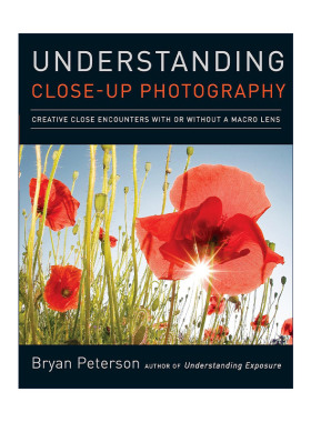 英文原版 Understanding Close-Up Photography 理解近距与微距摄影 摄影技巧指南 Bryan Peterson 英文版 进口英语原版书籍