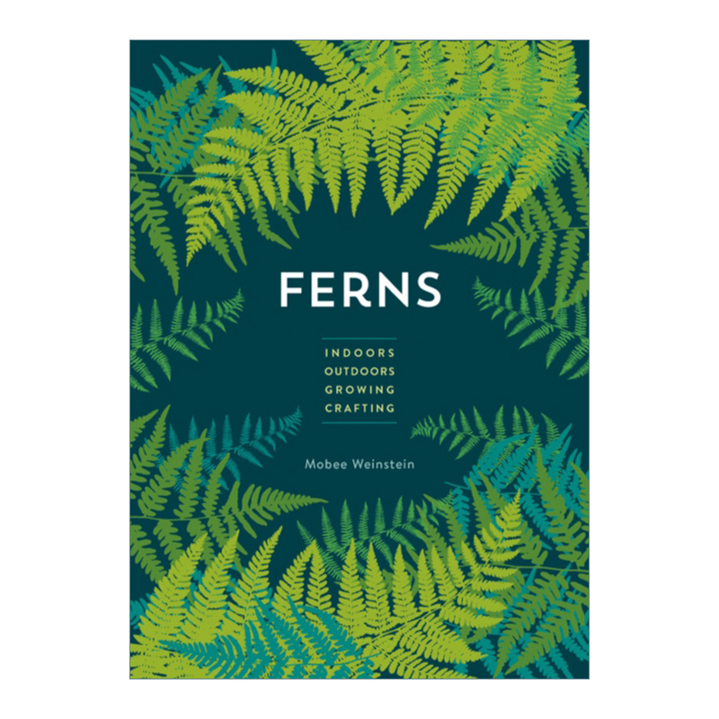 英文原版 Ferns Indoors-Outdoors-Growing-Crafting 蕨类植物 花草园艺植物种植绿植养护 纽约布鲁克林植物园园长指南 进口英语书