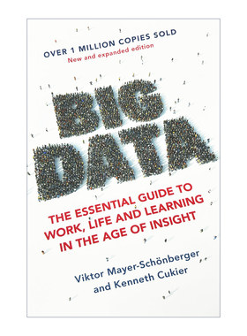 英文原版 大数据：工作生活基本指南 Big Data Kenneth Cukier Viktor Mayer 自我提升