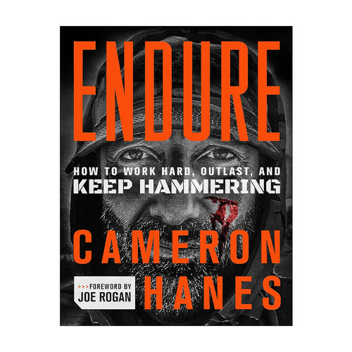 英文原版 Endure 忍耐 如何努力工作 超越自我 持续锤炼 精装 英文版 进口英语原版书籍