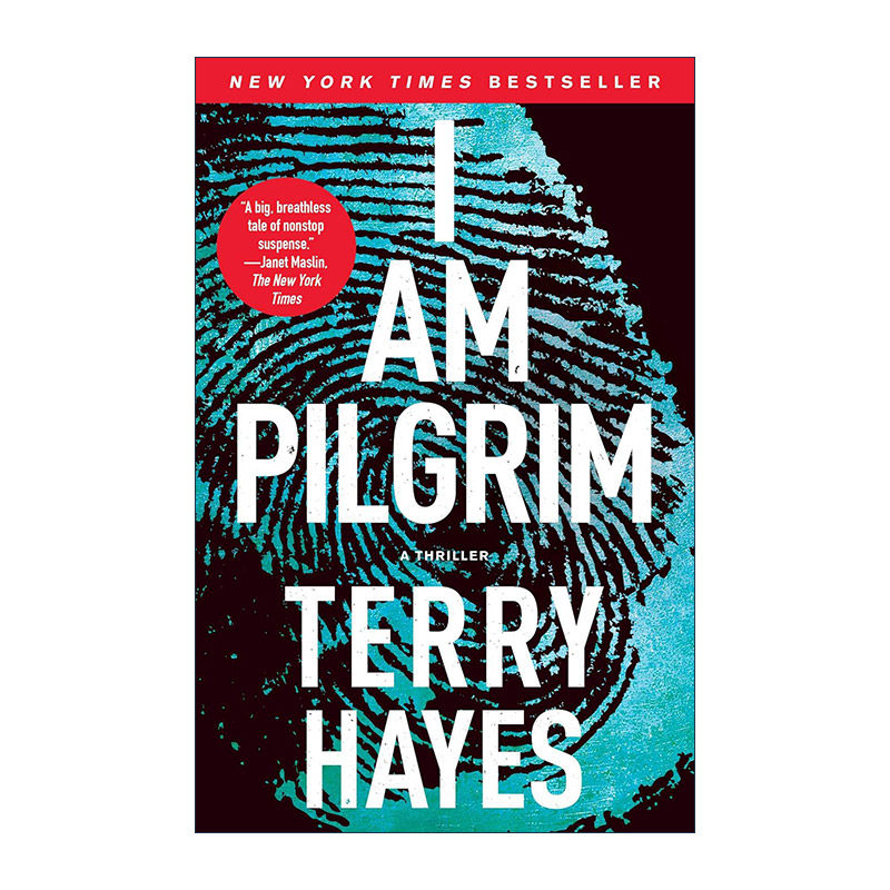 英文原版 I Am Pilgrim 朝圣者 悬疑故事  泰瑞·海耶斯 英文版 进口英语原版书籍