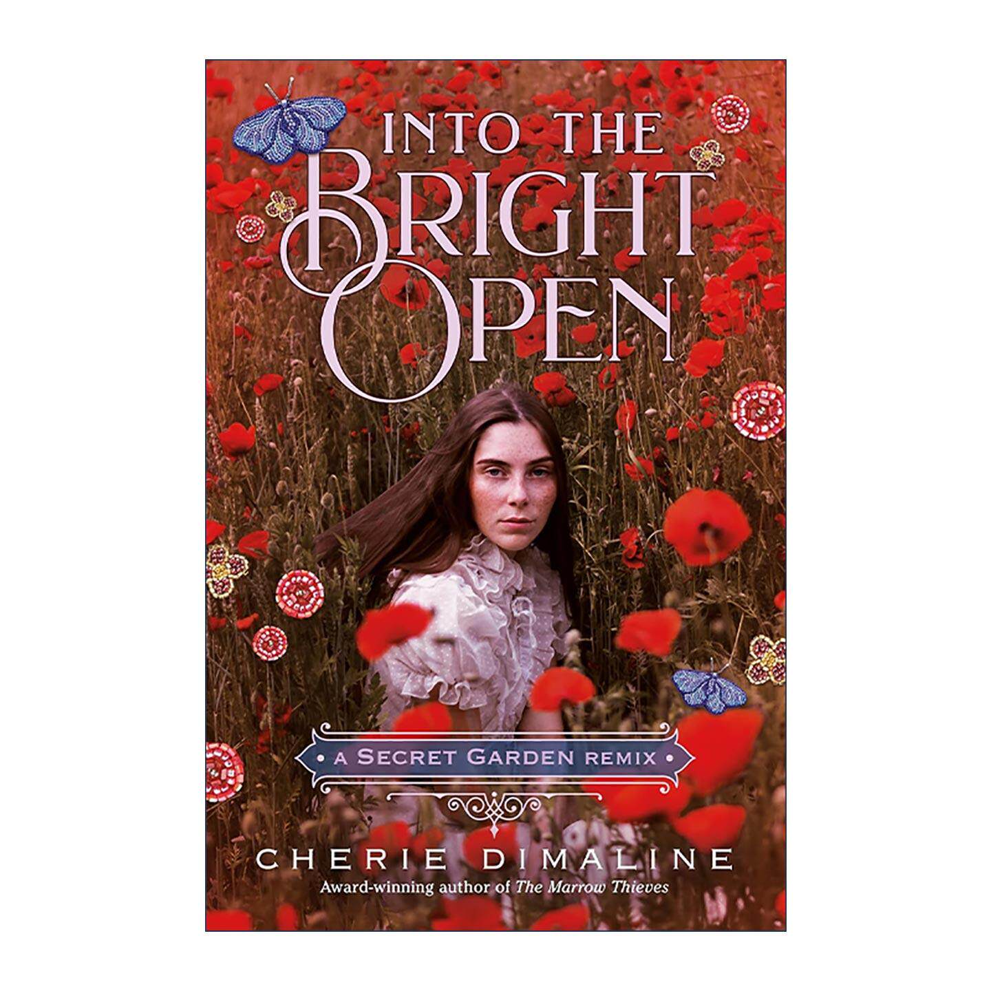 英文原版 Into the Bright Open 走进璀璨旷野 经典文学改写系列 秘密花园 英文版 进口英语原版书籍