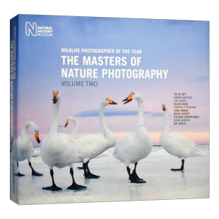 Masters Wildlife Year 英文原版 Nature 第2卷 自然摄影大师 Photographer 进口书 the Photography年度野生动物摄影师 The