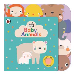 Animals 小瓢虫宝宝触摸书 动物宝宝 英文原版 进口英语原版 Touch 英文版 书籍 Baby