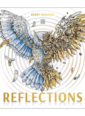 英文原版 Reflections 对称 填色寻物 着色涂色书 绘本 漫画 艺术 Kerby Rosanes 英文版 进口英语原版书籍