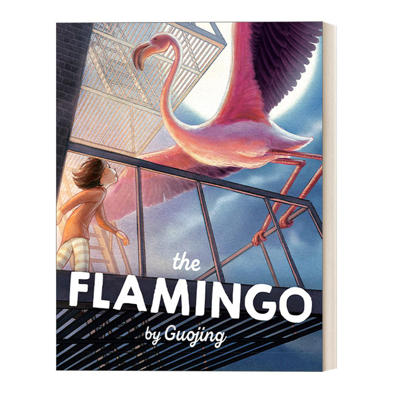 英文原版 the flamingo 火烈鸟 5-8岁儿童多代人生活主题精装漫画绘本