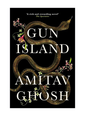 英文原版 Gun Island 枪岛 朱鹭号三部曲作者阿米塔夫·高希 Amitav Ghosh 英文版 进口英语原版书籍
