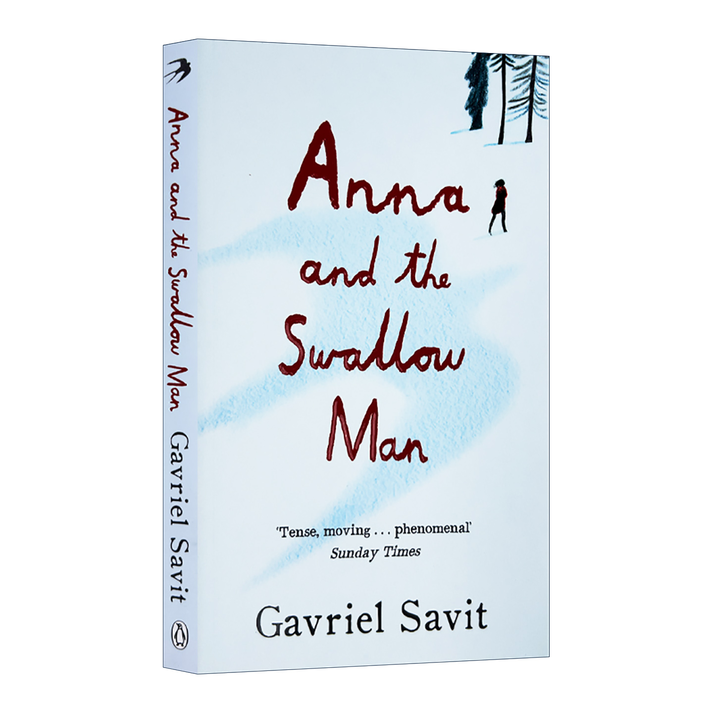 英文原版 Anna and the Swallow Man 陪安娜穿过漫漫长夜 加瑞尔·萨维经典二战儿童小说 英文版 进口英语原版书籍