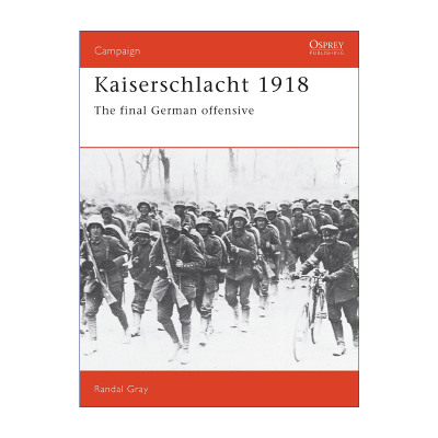 德国1918皇帝会战英文版