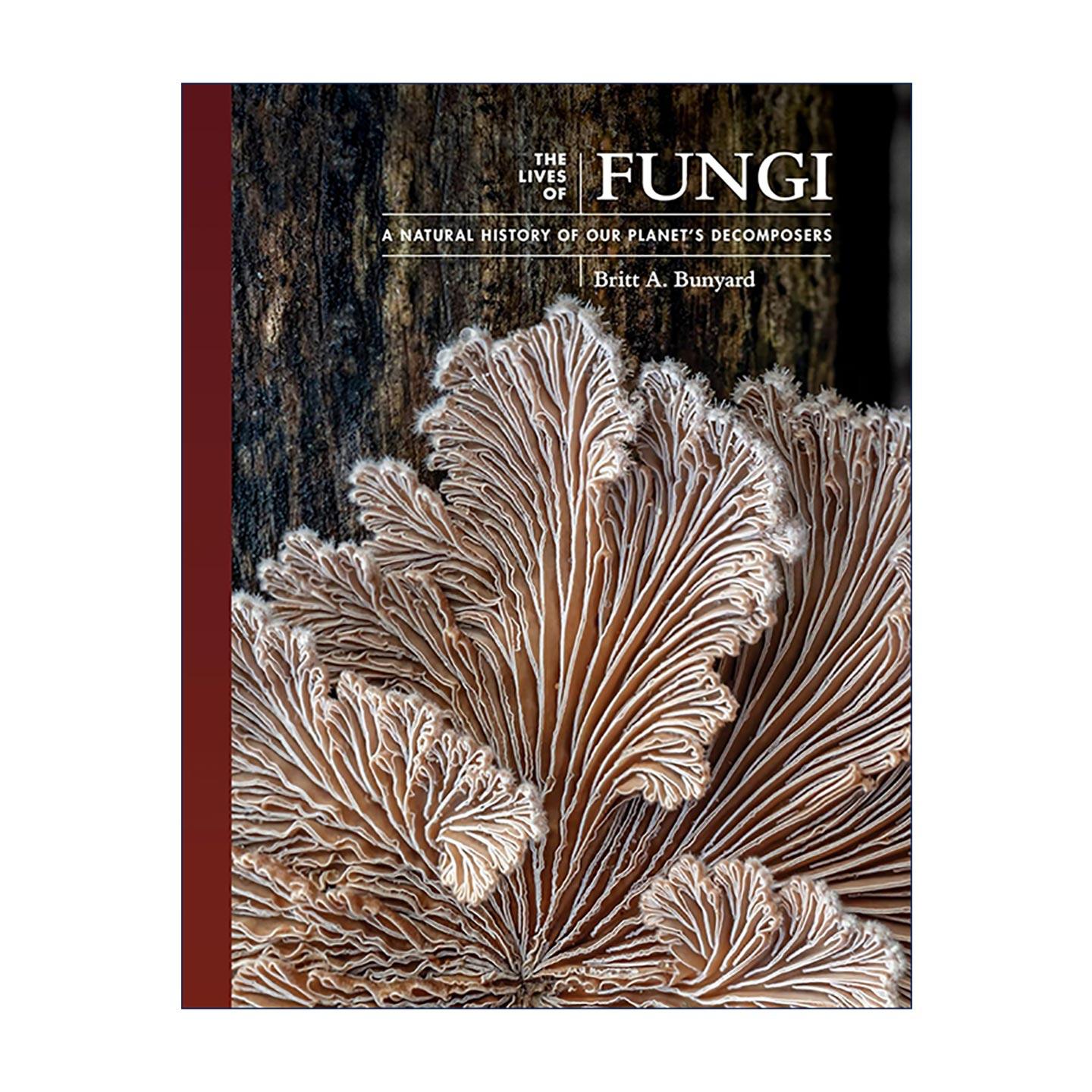 英文原版 The Lives of Fungi 真菌 地球分解者 自然史 布里特·艾伦·邦亚德 真菌学杂志创始人 普林斯顿 精装 进口英语原版书籍