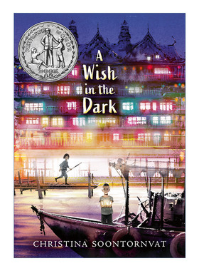 英文原版 A Wish in the Dark 闪闪发光的心愿 黑暗中的愿望 2021纽伯瑞银奖 精装 克里斯蒂娜·松托瓦 英文版 进口英语原版书籍