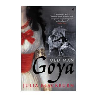 英文版 书籍 Goya 无声世界里 光影人生 弗朗西斯科?戈雅 Man 暮年 进口英语原版 英文原版 艺术家传记 Old