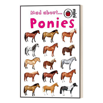 英文原版 Mad About Ponies  Mad About系列 小马 精装 英文版 进口英语原版书籍