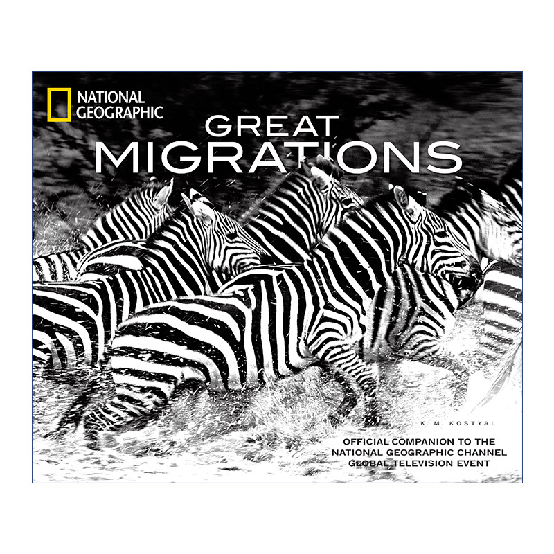 英文原版 Great Migrations 动物大迁徙 美国国家地理 K.M. Kostyal 精装 英文版 进口英语原版书籍