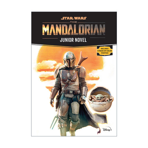 英文原版 Star Wars The Mandalorian Junior Novel 星球大战 曼达洛人第一季 青少年小说 英文版 进口英语原版书籍