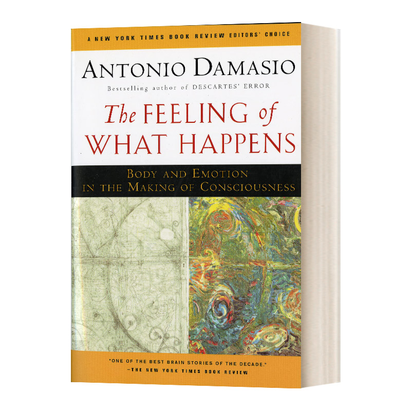 感受发生的一切英文原版 The Feeling of What Happens Antonio Damasio-封面