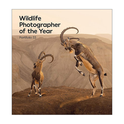 英文原版 Wildlife Photographer of the Year Portfolio 33 年度野生动物摄影师作品集 第33卷 英文版 进口英语原版书籍