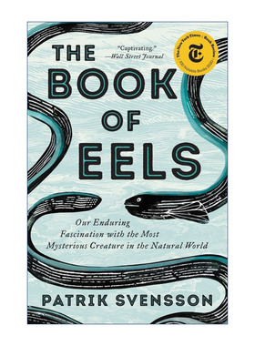 英文原版 The Book of Eels 鳗鱼的旅行 一场对目标与意义的探寻 奥古斯特文学奖 英文版 进口英语原版书籍