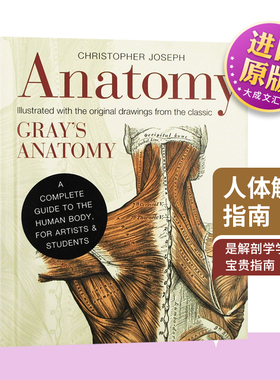 精装 Anatomy A Complete Guide to the Human Body 英文原版 人体解剖指南  英文版 原版英语科普读物书籍