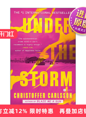 英文原版 Under the Storm 风暴之下 推理悬疑小说 Christoffer Carlsson 英文版 进口英语原版书籍