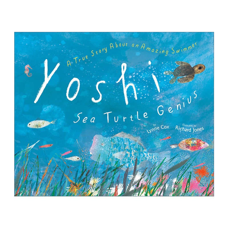 英文原版 Yoshi Sea Turtle Genius 海龟Yoshi的非凡旅程 儿童生态保护科普百科绘本图画书 精装 Richard Jones 进口英语原版书籍