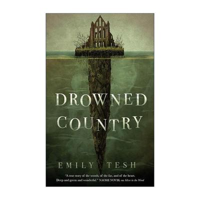 英文原版 Drowned Country 沉没之国 绿谷二重奏系列 英文版 进口英语原版书籍