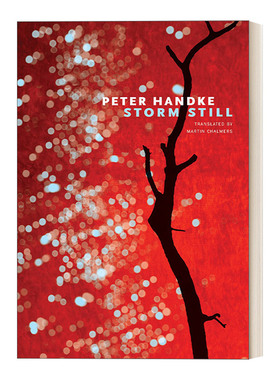 英文原版 Storm Still The German List 暴风雨依旧 2019诺贝尔文学奖得主彼得 汉德克Peter Handke 英文版 进口英语原版书籍
