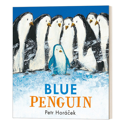 英文原版 Blue Penguin 蓝色企鹅 3-7岁儿童精装绘本 捷克绘本大师Petr Horacek 英文版 进口英语原版书籍