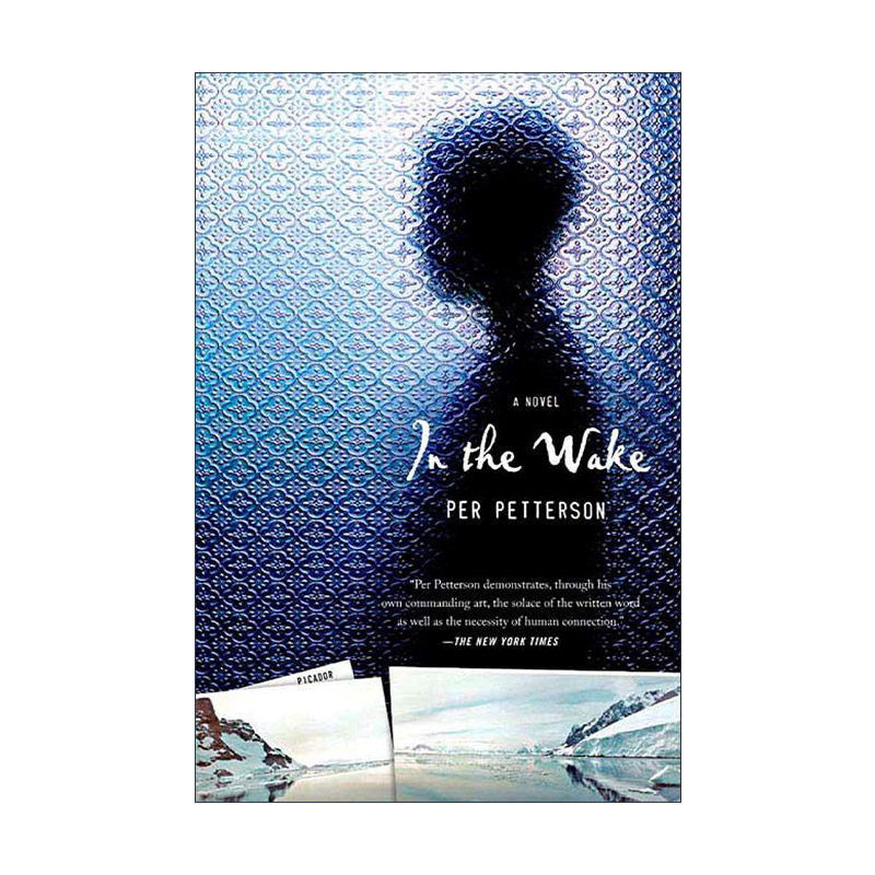 英文原版 In the Wake 长夜将尽 佩尔·帕特森 英文版 进口英语原版书籍