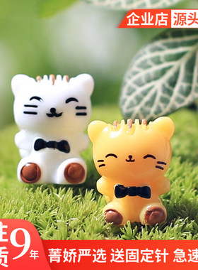 菁娇  领结小猫咪  苔藓微景观饰品 DIY组装小摆件玩具
