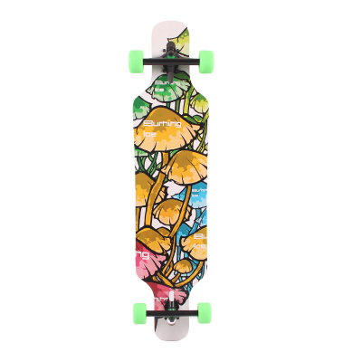Skateboard pour homme femme - Ref 2594834 Image 4