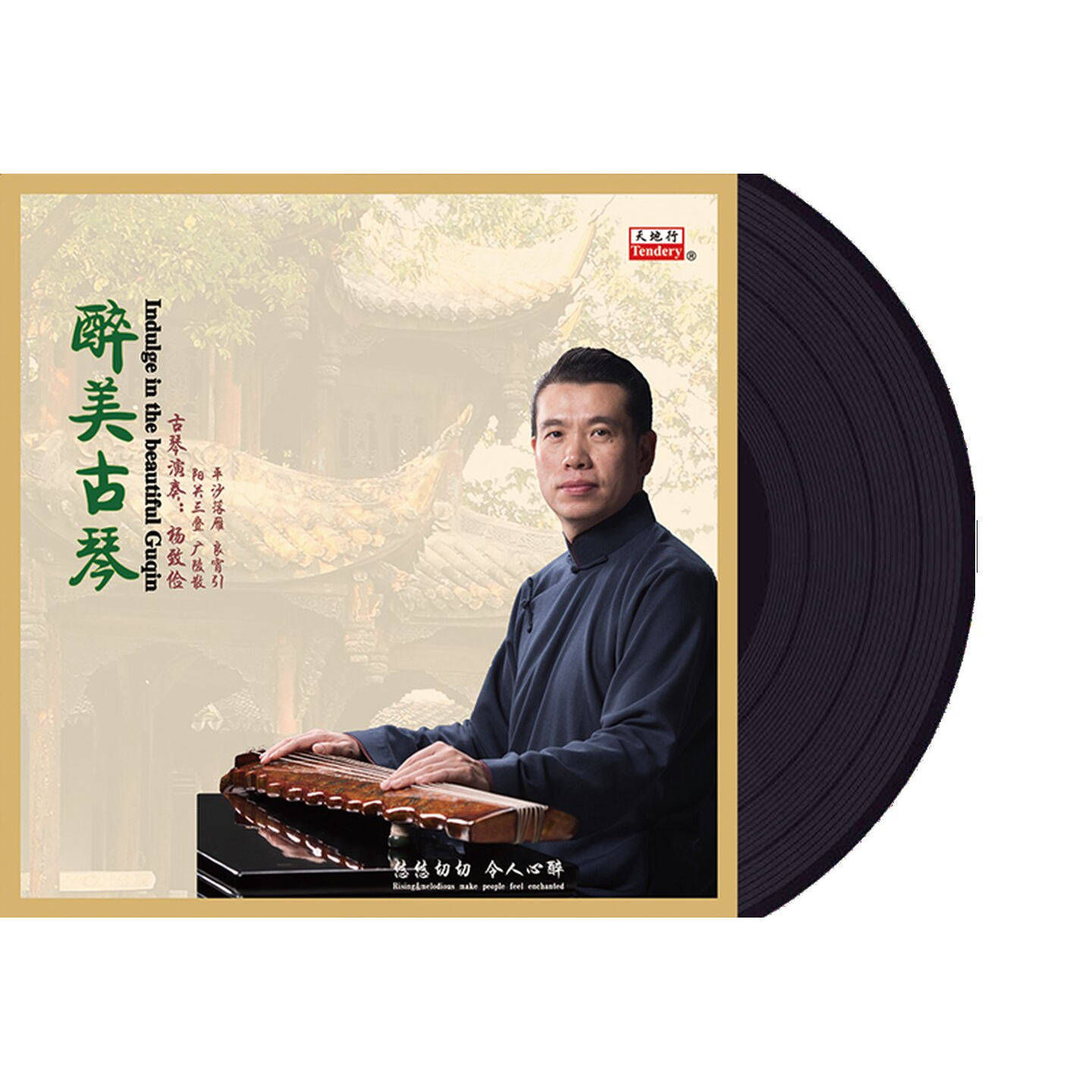 民乐器名家名曲古琴二胡竖笛排箫纯音乐黑胶唱片LP留声机12寸碟片