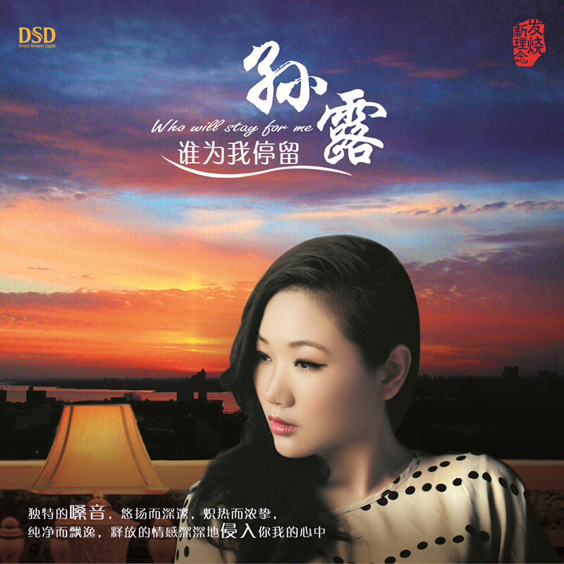 孙露正版CD碟片无损高音质 谁为我停留 HiFi发烧碟 车载光盘