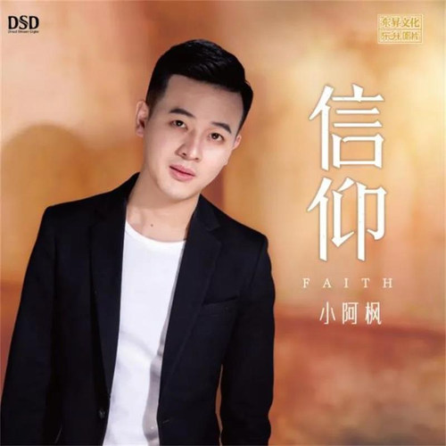 正版唱片 小阿枫 信仰 DSD 光盘试音碟 hifi发烧男声无损音质cd碟